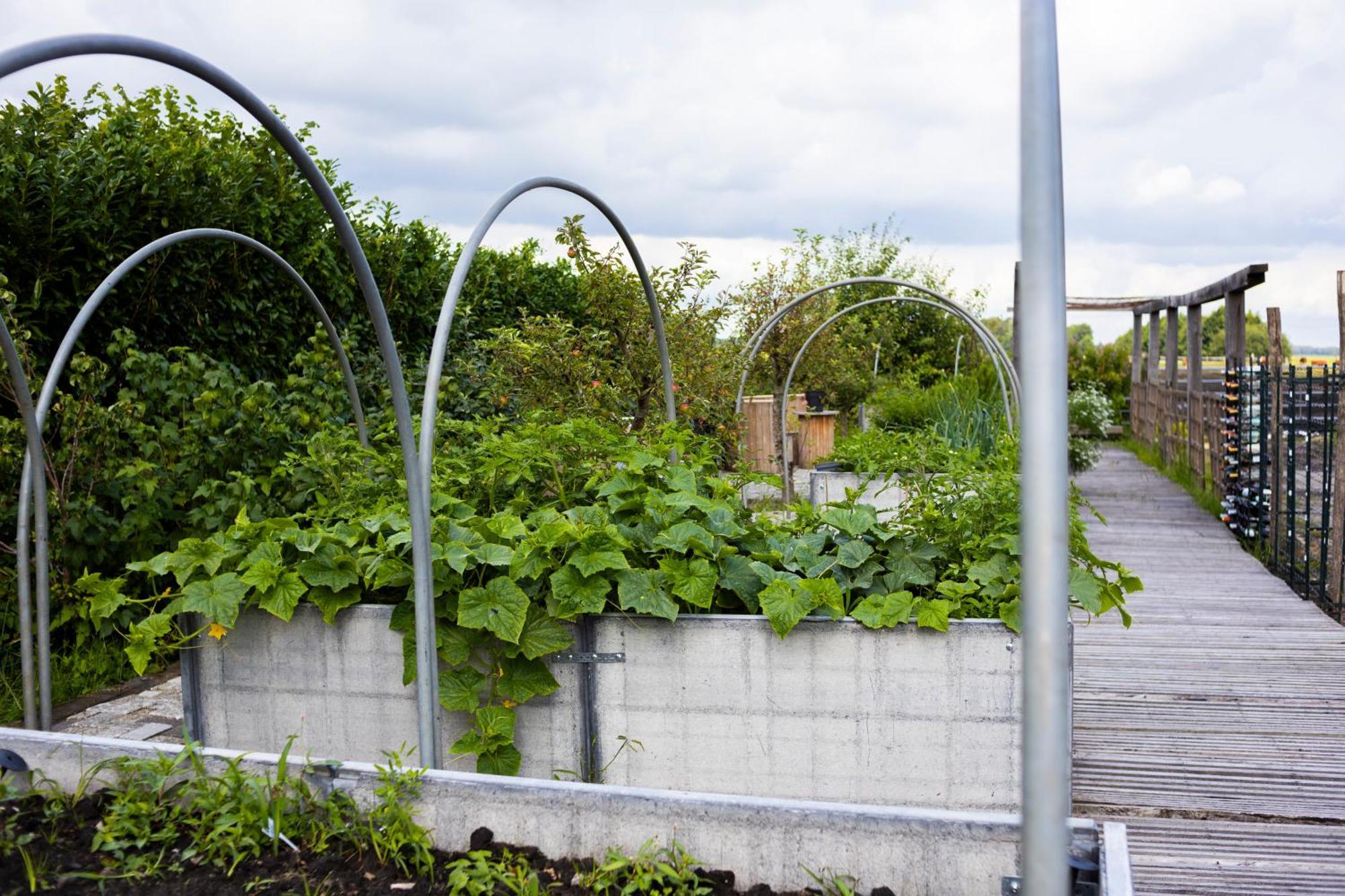 De Perenhoeve Ruinerwold Esterno foto
